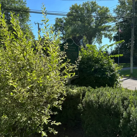 Fox Indian Massacre Historical Marker Overgrown Trees